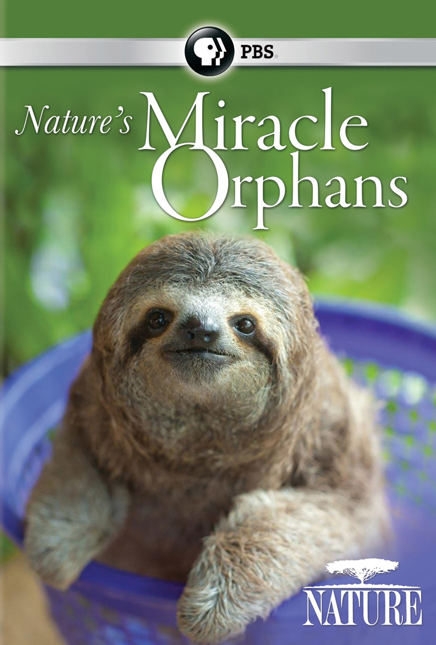 Nature's Miracle Orphans  'Nature's Miracle Orphans' Animated