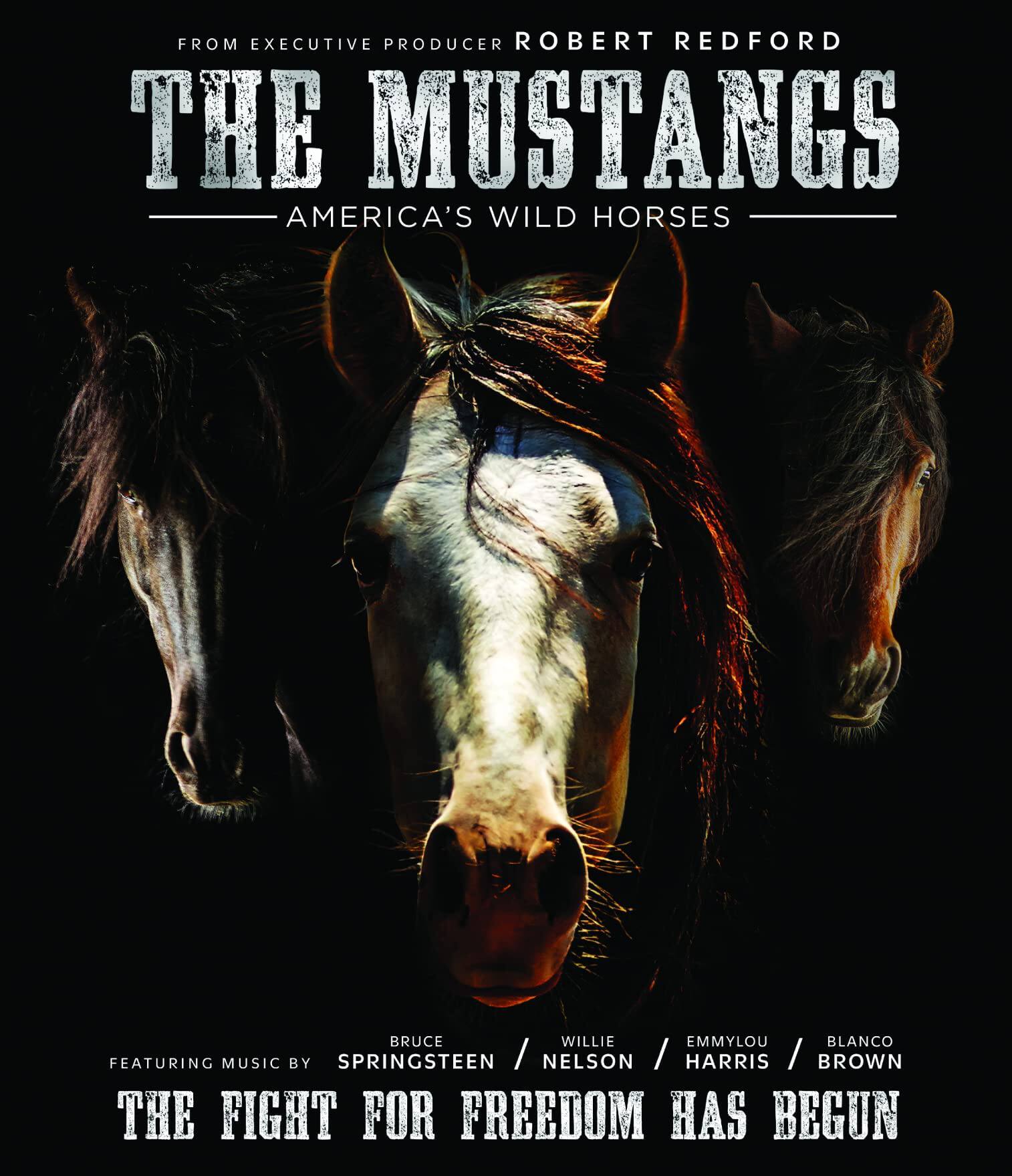 Best Buy The Mustangs America's Wild Horses [Bluray] [2021]