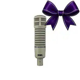 Electro-Voice - RE20 Broadcast Announcer Microphone