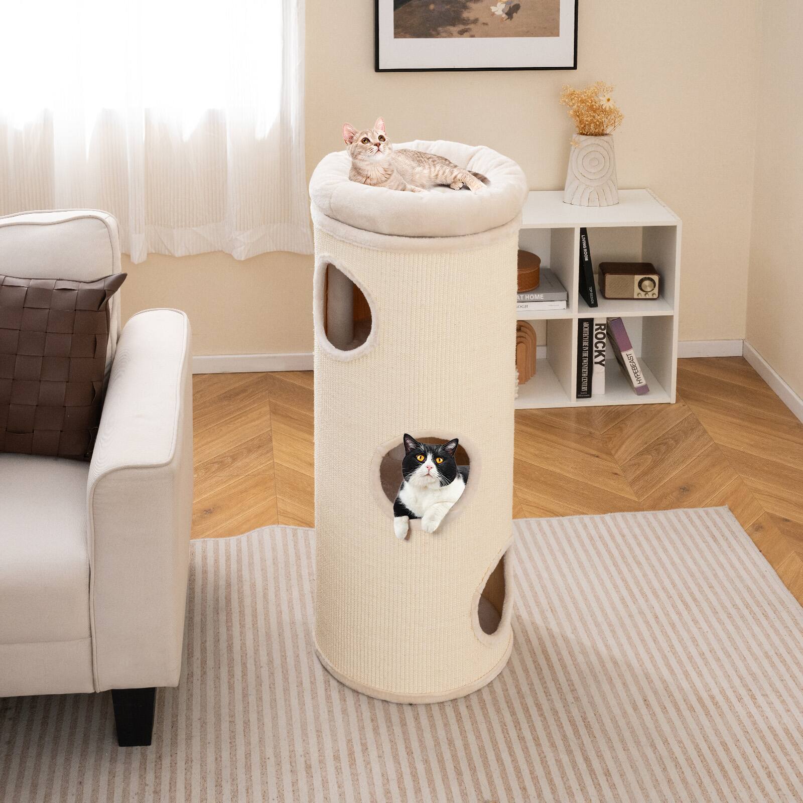 - MY HOME
- ROCKY
- ISSUE 1
- ISSUE 2