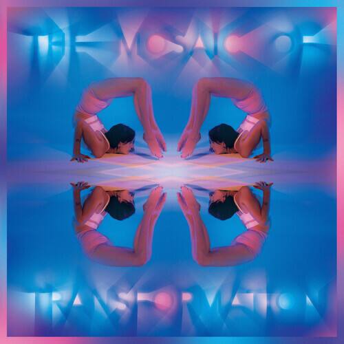 The Mosaic of Transformation [LP] [VINYL] price history on PriceWatchPro