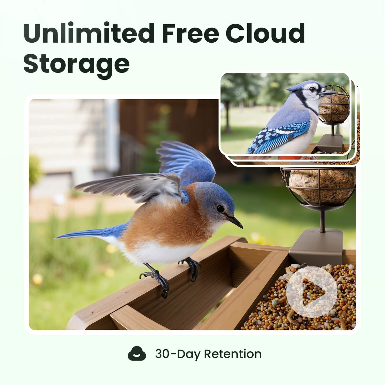 Unlimited Free Cloud Storage
30-Day Retention