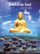 Front Standard. Buddha-Bar Ocean [CD].