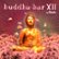 Front Standard. Buddha Bar, Vol. 12: Mixed By DJ Ravin [CD].