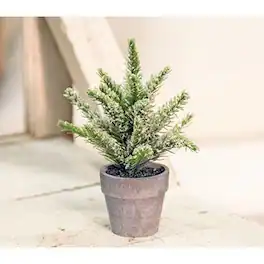 BreeBe - Potted Icy Pine 7" - Green