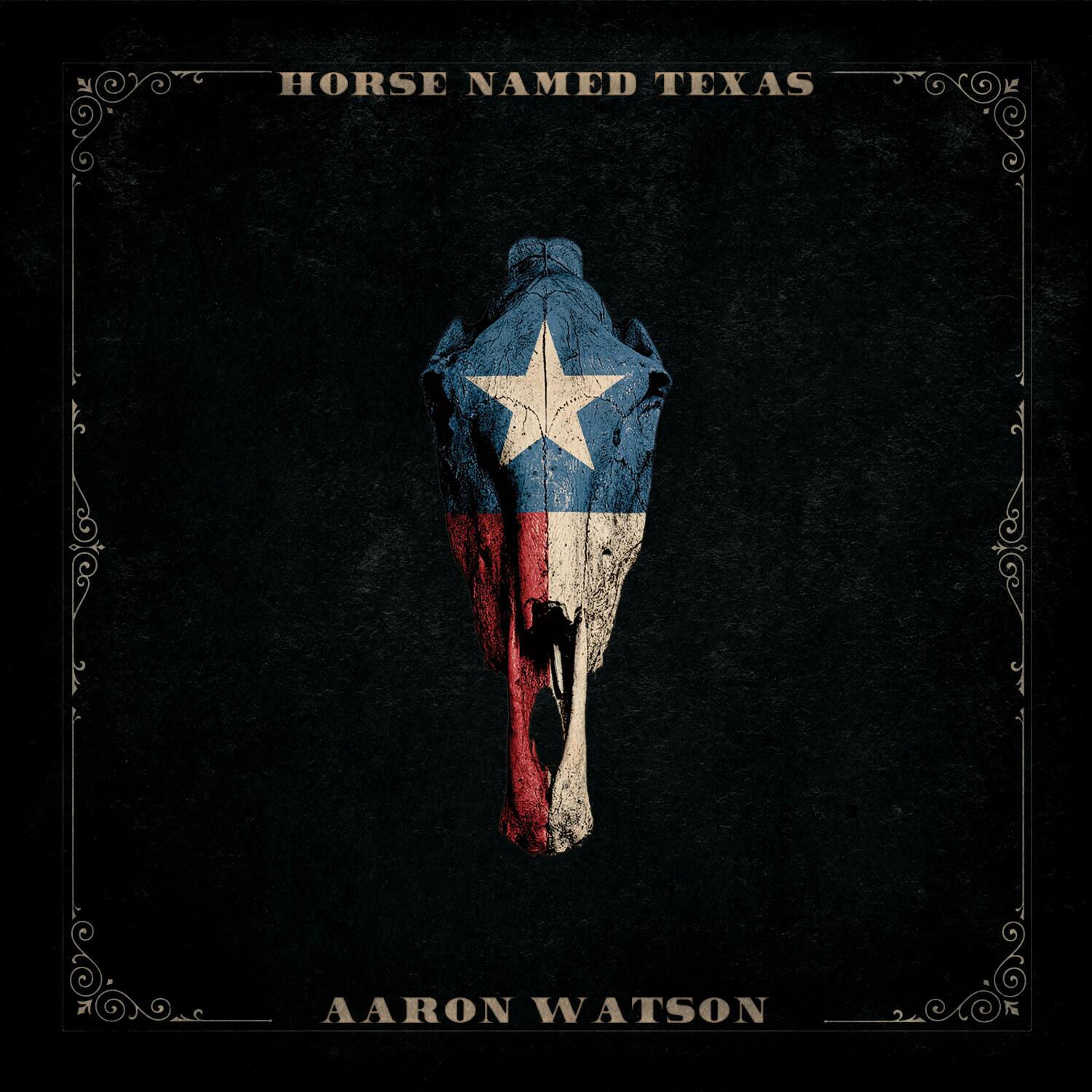 HORSE NAMED TEXAS  
AARON WATSON
