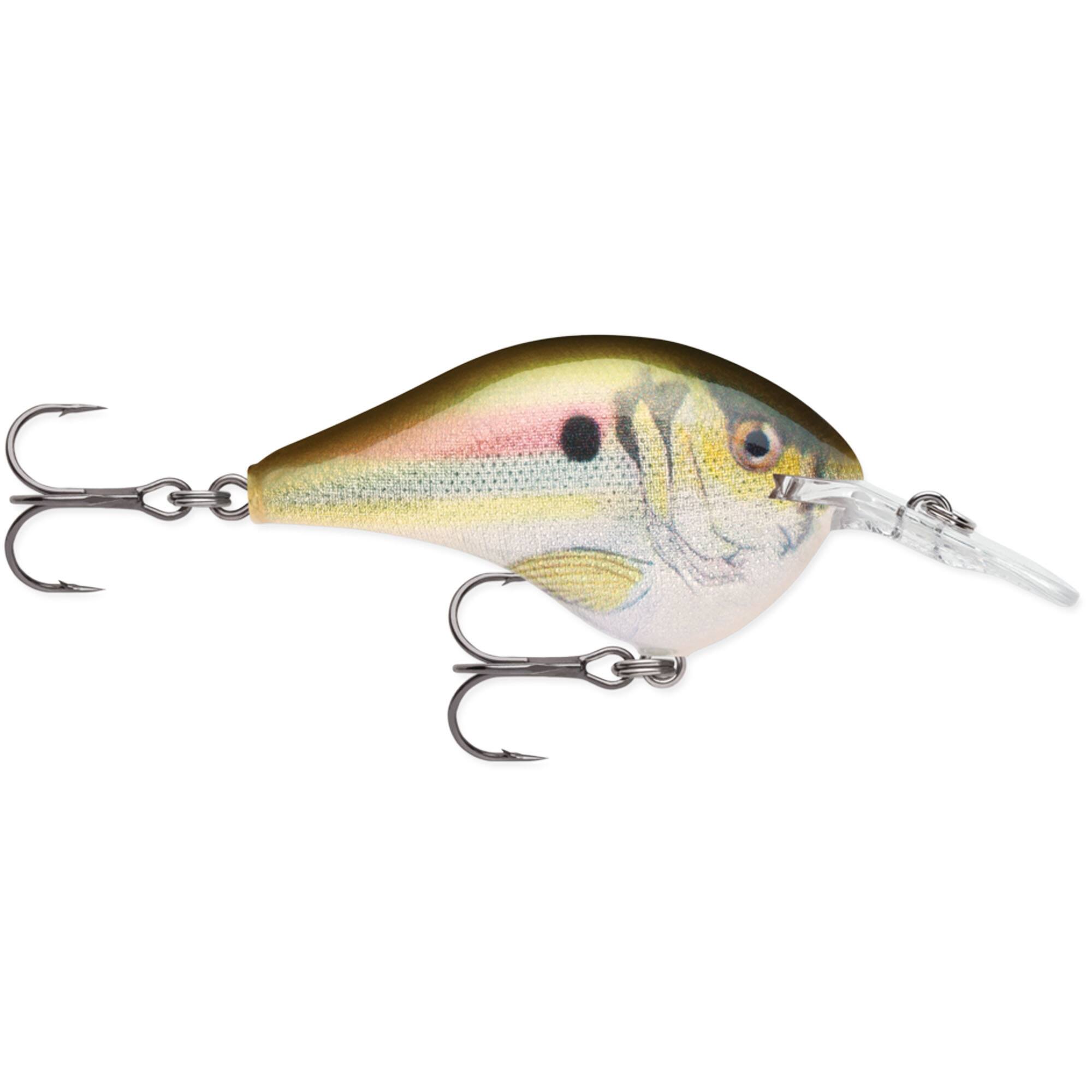 Live River Shad