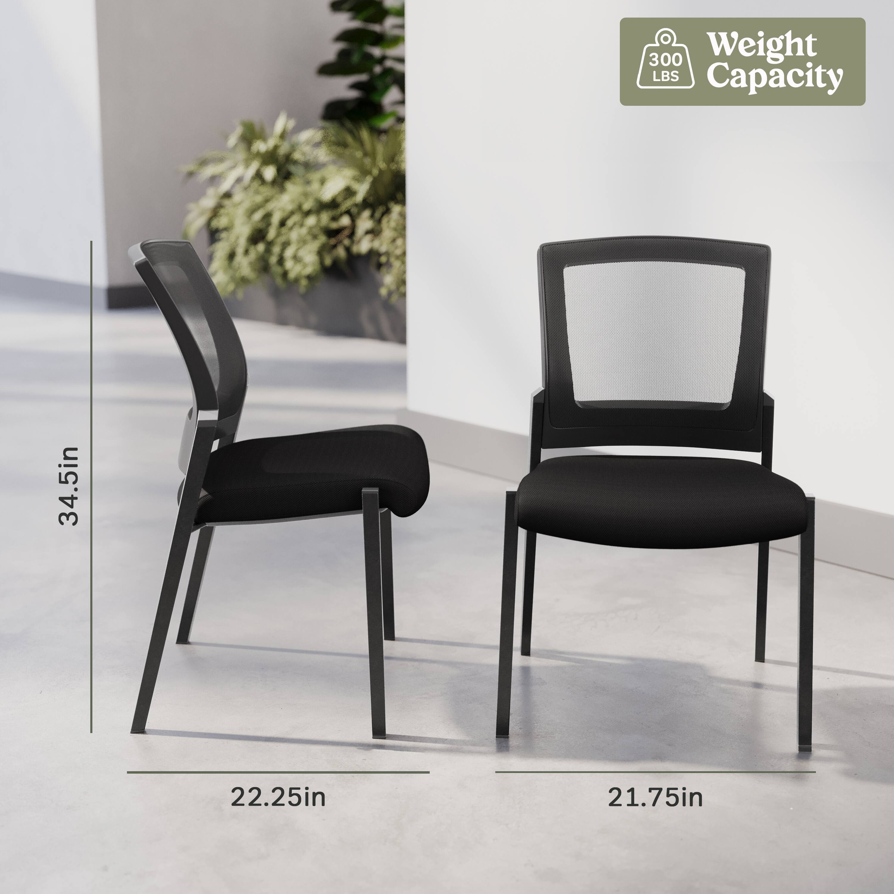 300 Weight LBS Capacity  
34.5in  
22.25in  
21.75in