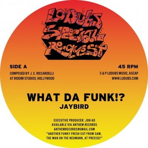What Da Funk!? [12 inch Vinyl Single]