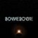 Front Standard. Bowie 2001: A Space Oddity [CD].