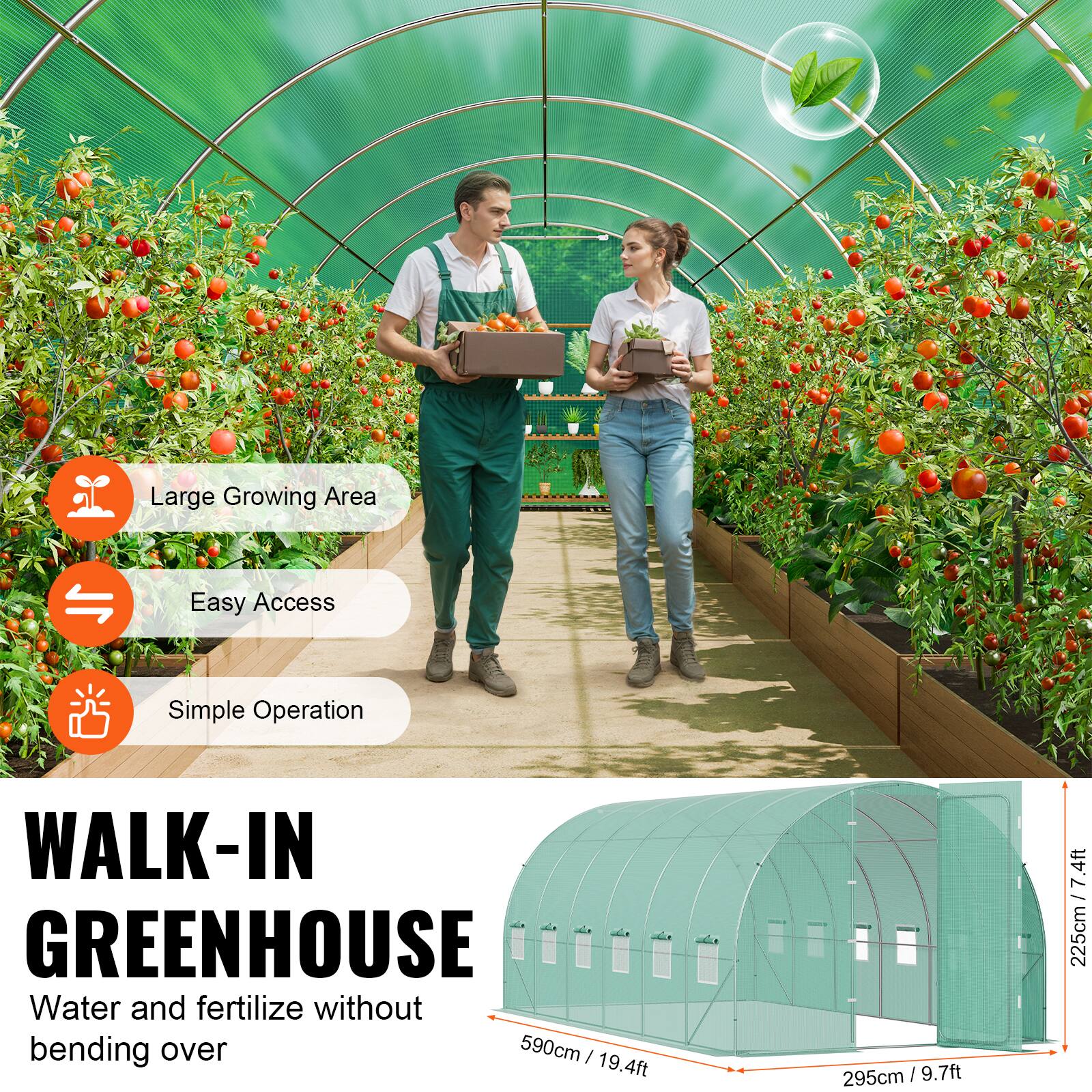 Large Growing Area, Easy Access, Simple Operation, WALK-IN GREENHOUSE, Water and fertilize without bending over, 590cm / 19.4ft, 295cm / 9.7ft, 7.4ft, 225cm / 7.4ft