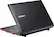 Alt View Standard 2. Samsung - Netbook / Intel® Atom™ Processor / 10.1" Display / 1GB Memory / 250GB Hard Drive - Black.