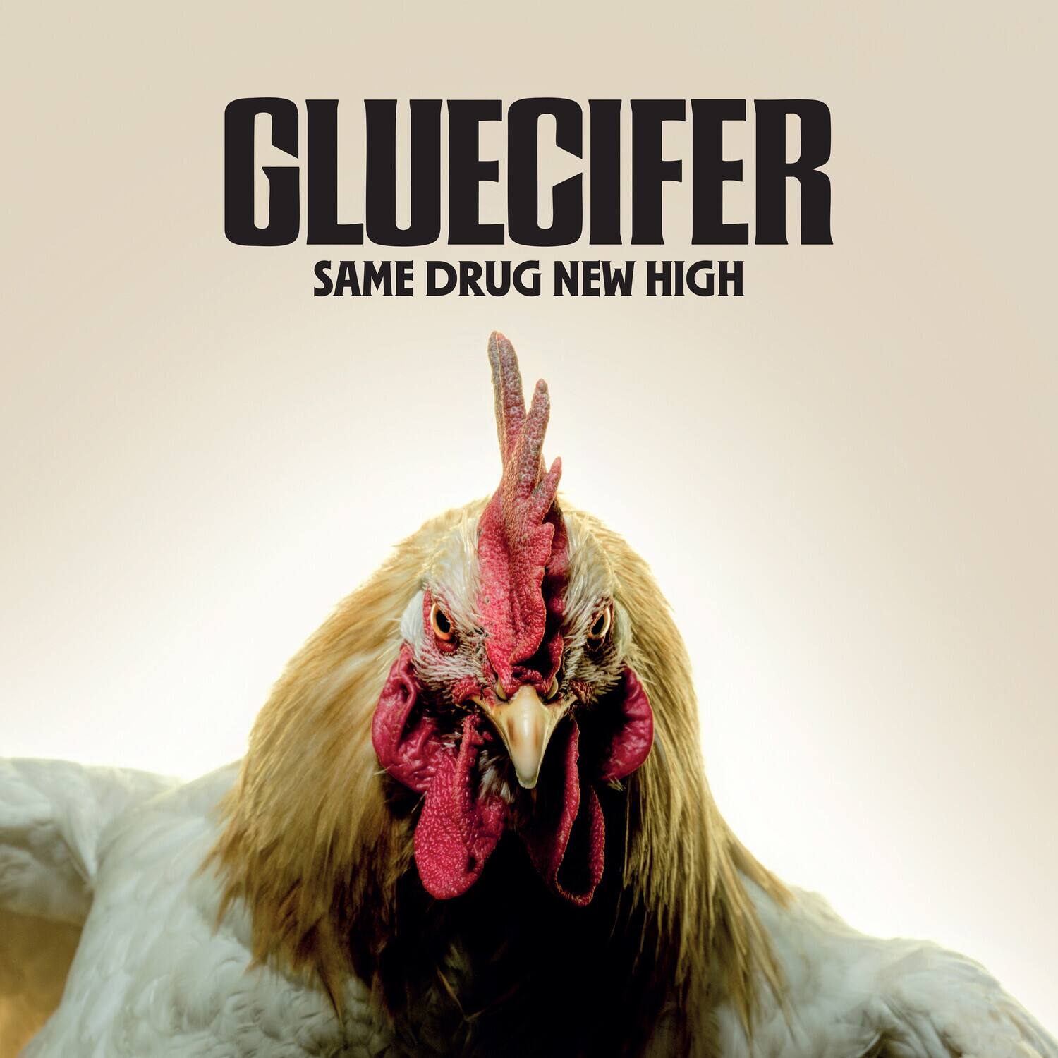 Gluecifer - Same Drug New High   - COMPACT DISCS [CD] price history on PriceWatchPro