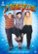 Front Standard. The Best of the Three Stooges [4 Discs] [DVD].