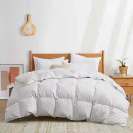 Puredown - All-Season 800 Fill Power European 90% Down Comforter Made in Germany, Full/Queen - White