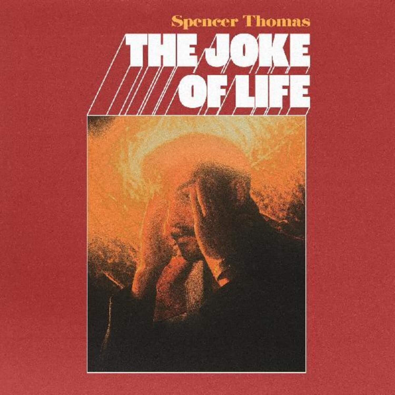 Spencer Thomas - The Joke of Life  - VINYL LP price history on PriceWatchPro