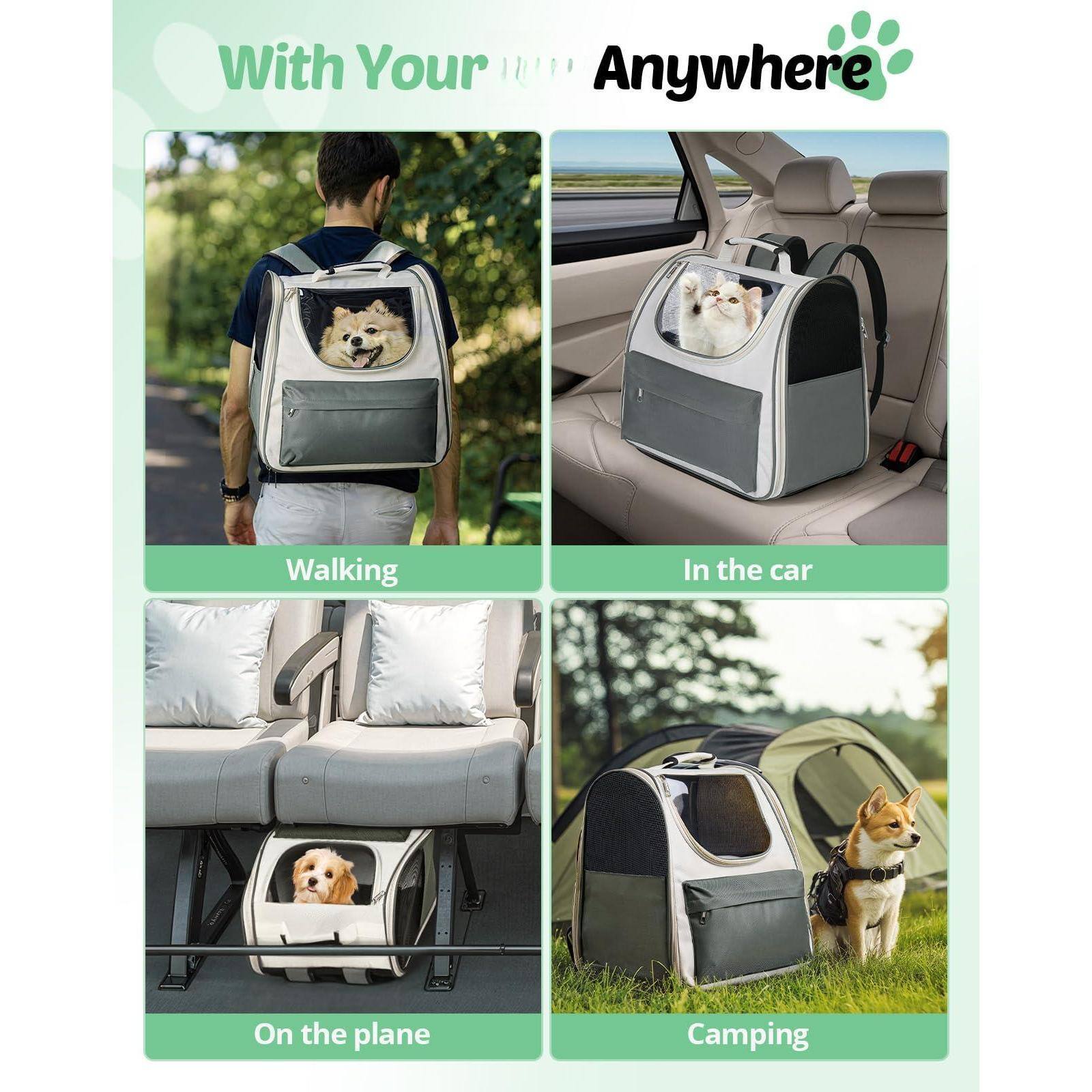 With Your Pet Anywhere

Walking  
In the car  
On the plane  
Camping
