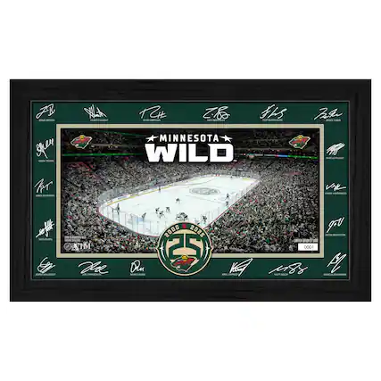 Sure, here is the corrected and grouped text from the image:
---
**Top Left to Right:**
- JONAS BROOK
- HUNTER BAGGAGE
- TYRAN GRANT
- ZACH BOGDANIAN
- FREDERIK ANDERSSON
- BROCK FABER
- MANGUS FOLLEND
- VINNIE PROHOREC
- JACOB MADDEN
- KYLE KAPAN
- MATT BOLLY
- MARCUS JOHANSSON
**Center:**
- MINNESOTA WILD
- 2000 2025
- 25 YEARS
**Bottom Left to Right:**
- JASON POKKA
- NICOLAS STURM
- JESPER WALLSTEDT
- JOEL EMMERSON
- RAMIRO GONZALEZ
**Bottom Center:**
- 2000 2025
- 25 YEARS
**Bottom Right:**
- VINNIE PROHOREC
- JACOB MADDEN
- KYLE KAPAN
- MATT BOLLY
- MAR