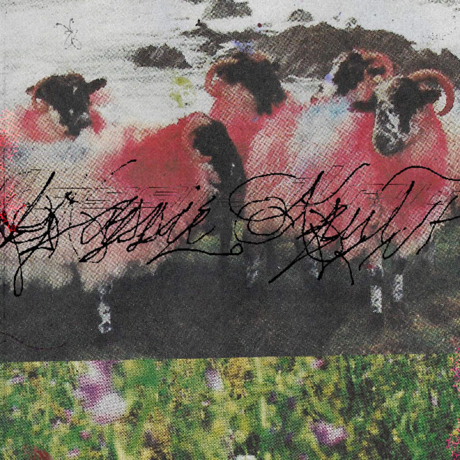 Kassie Krut - Kassie Krut   - VINYL LP