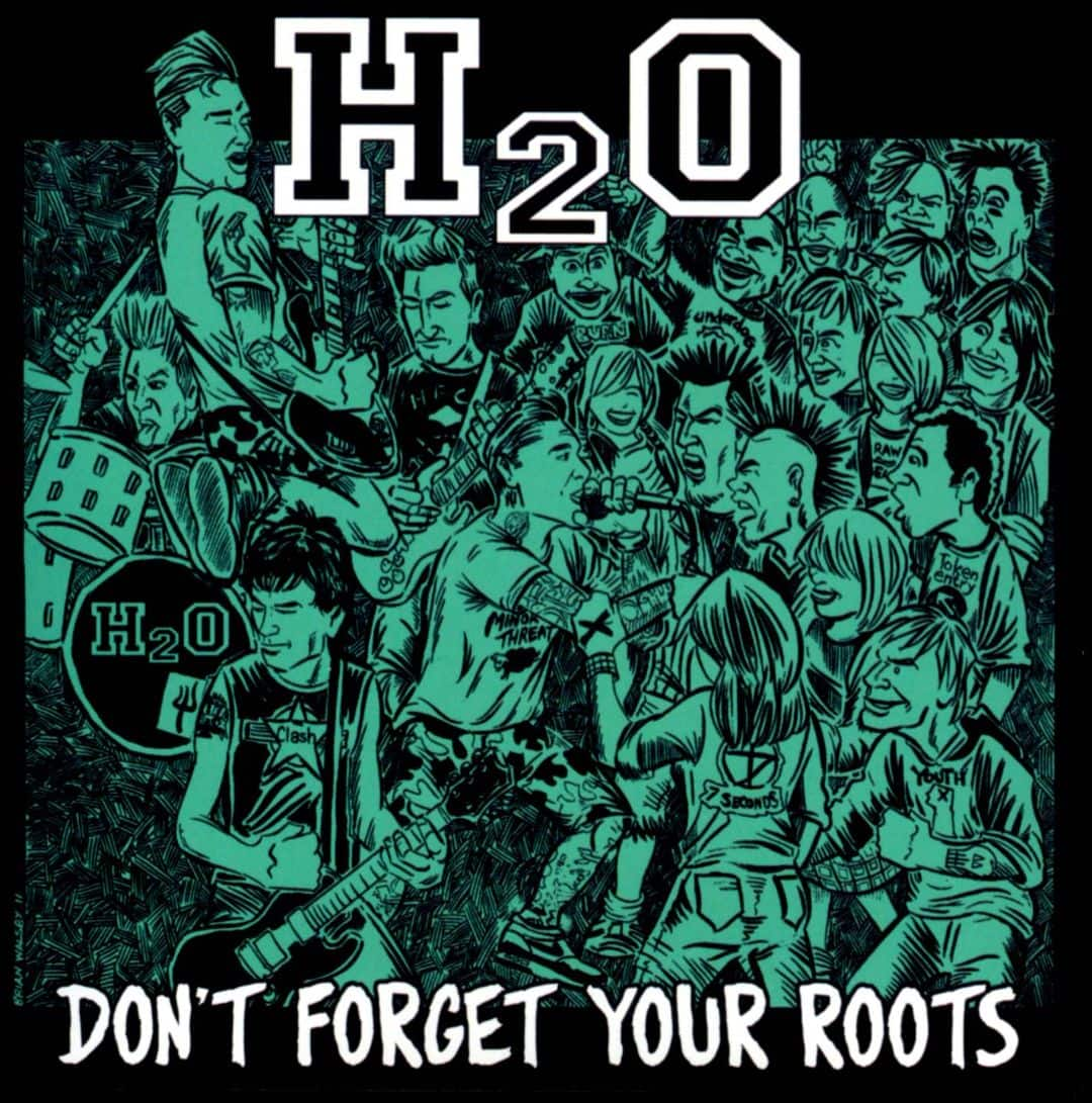 don-t-forget-your-roots-lp-vinyl-best-buy