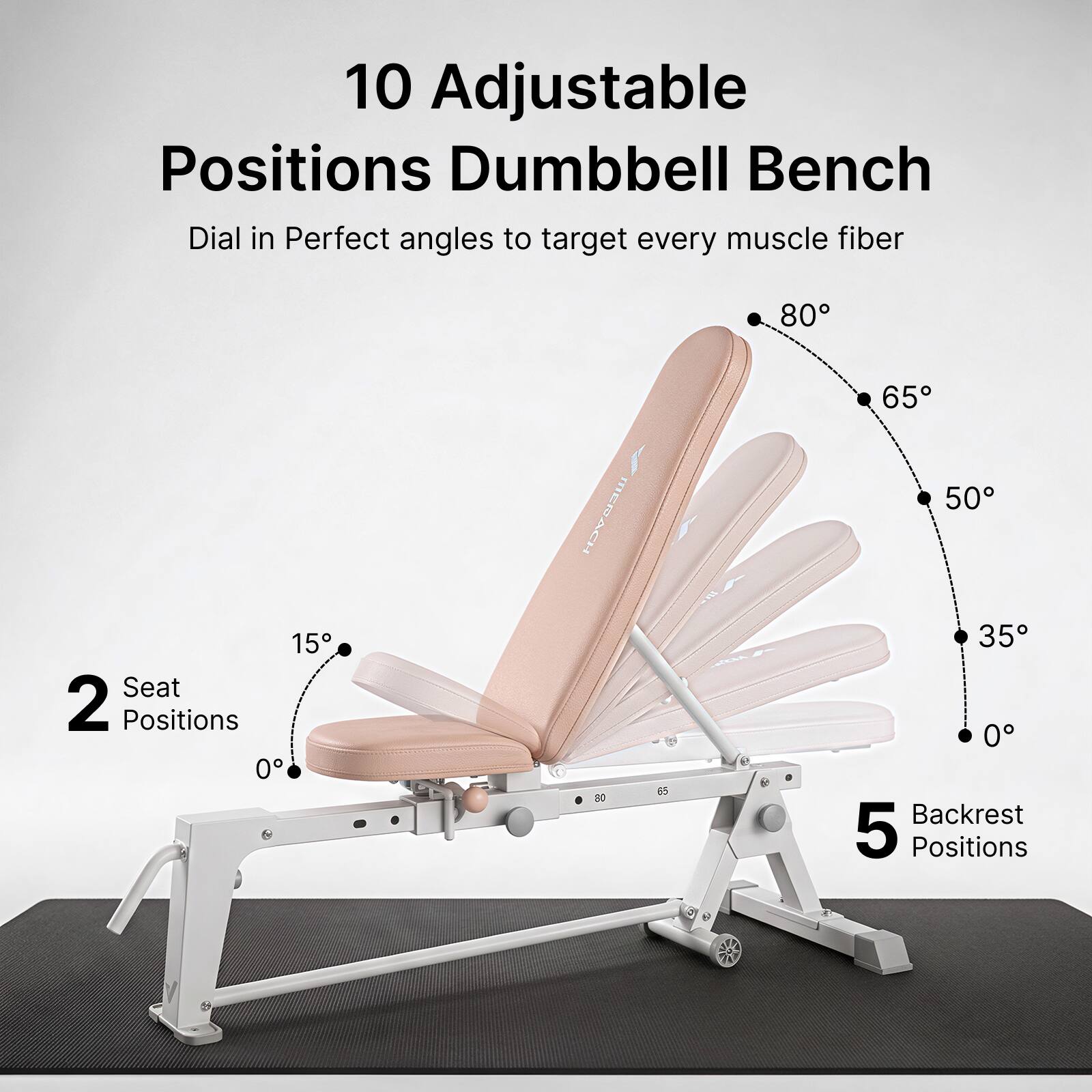 10 Adjustable Positions Dumbbell Bench  
Dial in Perfect angles to target every muscle fiber  

2 Seat Positions  
5 Backrest Positions