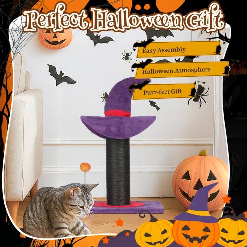 Perfect Halloween Gift  
Easy Assembly  
Halloween Atmosphere  
Purr-fect Gift