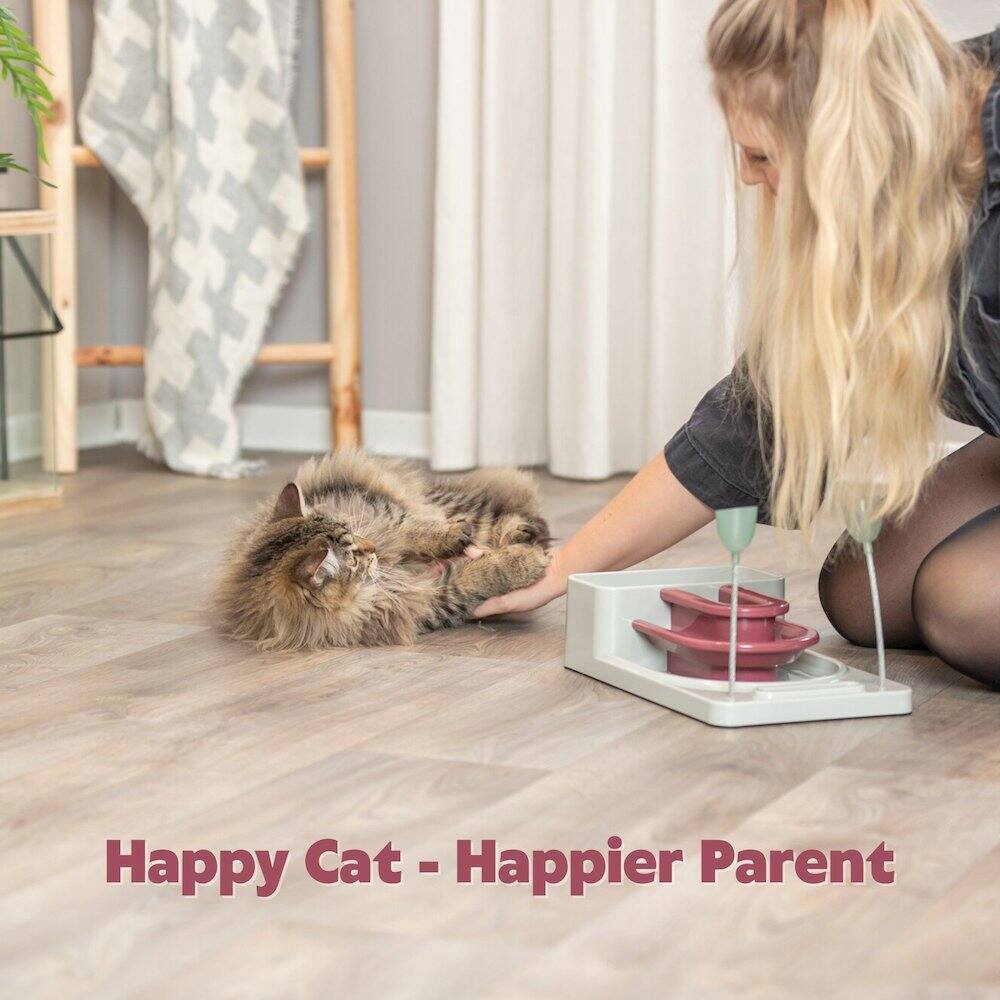 Happy Cat - Happier Parent