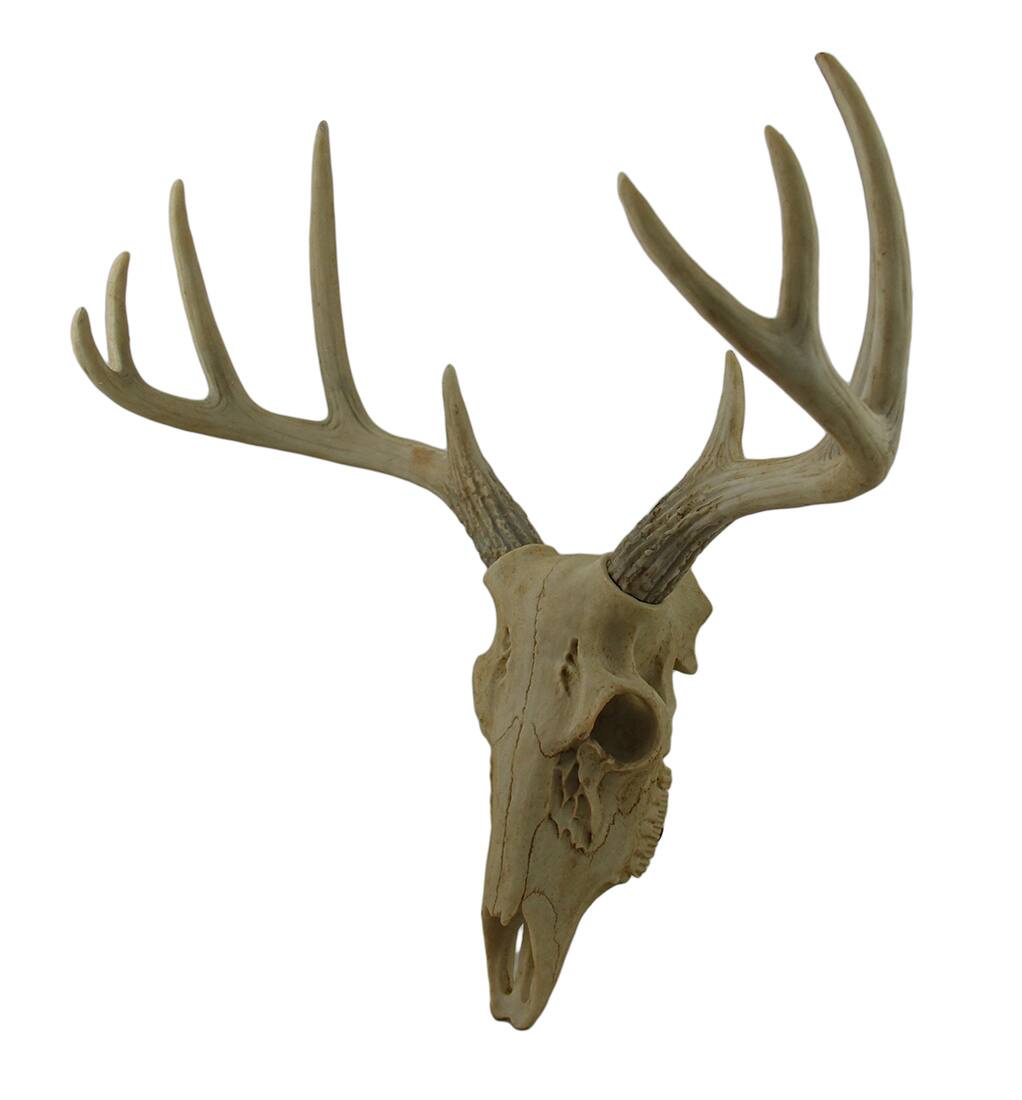 Alt View 1. Zeckos - Little Bucky Wall Mounted Faux Aged Finish 10 Point Antlers Deer Skull 15 Inch - Beige.