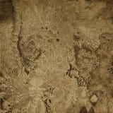 Acid Mouth Strangulation [LP] - VINYL