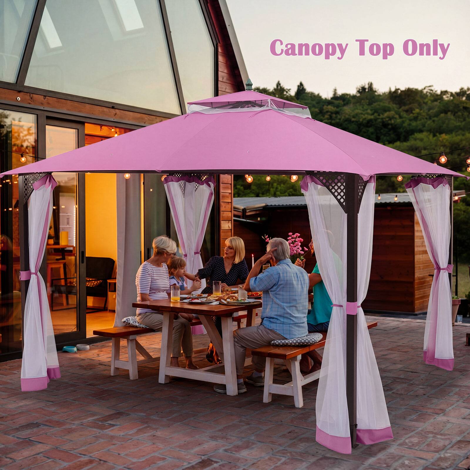 Canopy Top Only