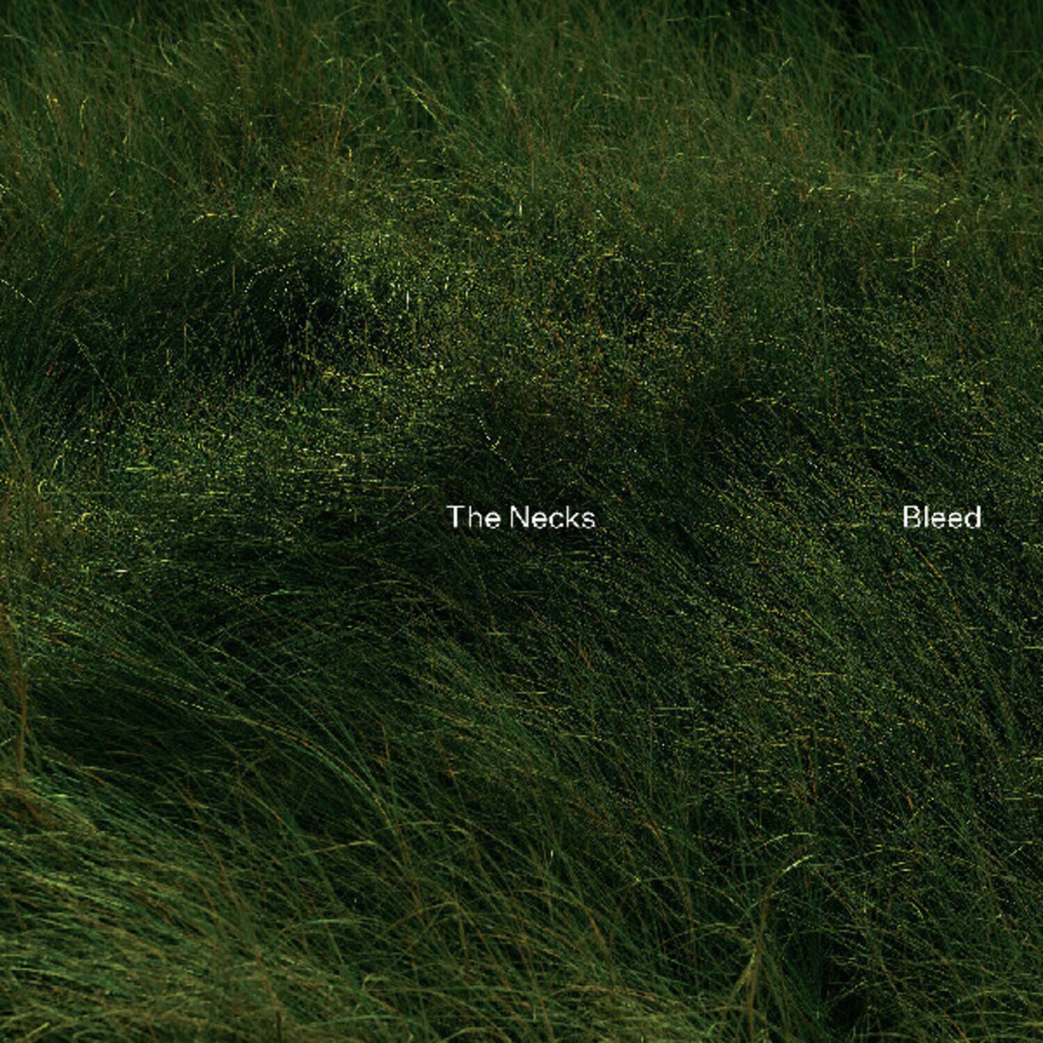 The Necks  
Bleed