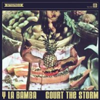 Court the Storm [LP] - VINYL - Front_Standard