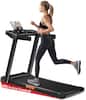 10% Incline Treadmill