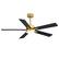 Angle. Breezary - 52" Modern Indoor Ceiling Fan with LED Light, 5 Reversible Plywood Blades, 6-Speed DC Motor, Remote, Timer, 5" Downrod - Gold and Matte Black.