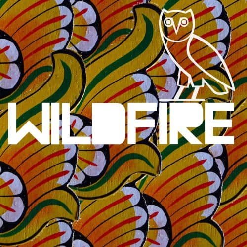 

Wildfire [Limited Edition] [12 inch Vinyl Single]
