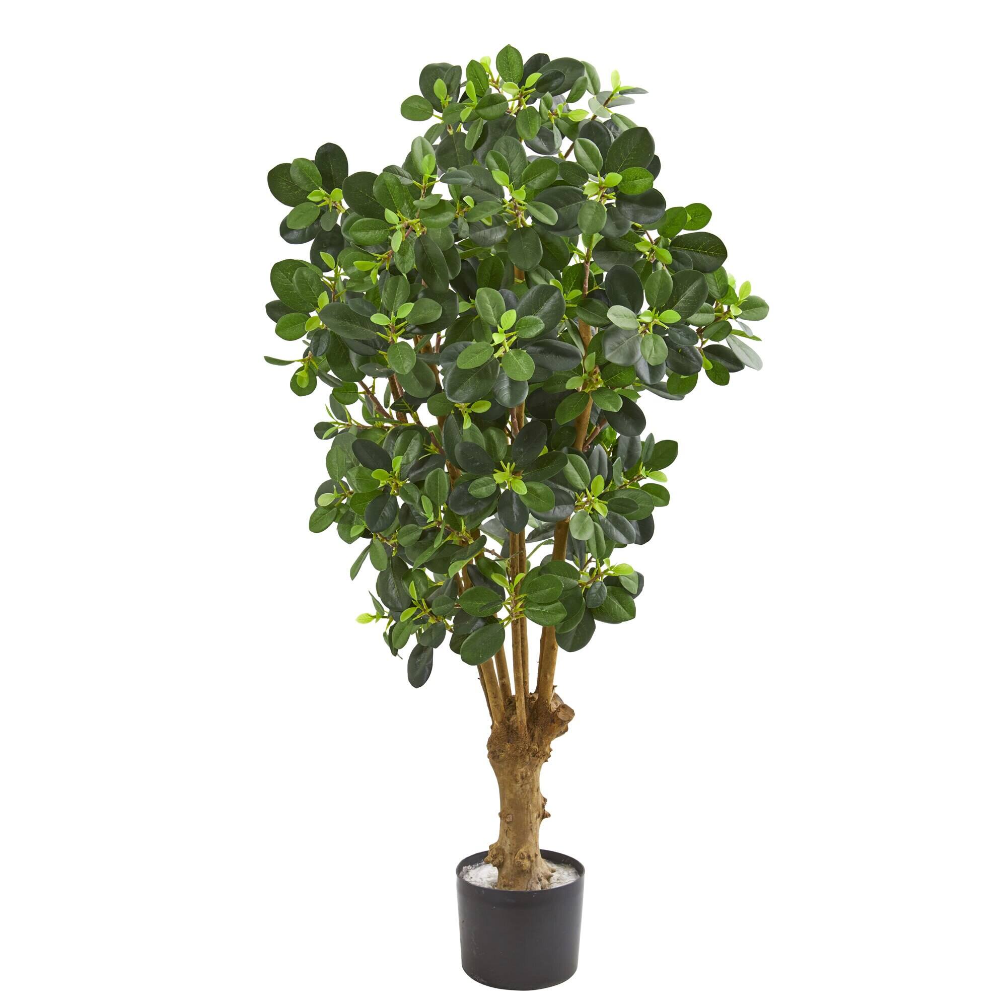 BreeBe - 3' Panda Ficus Artificial Tree - Green