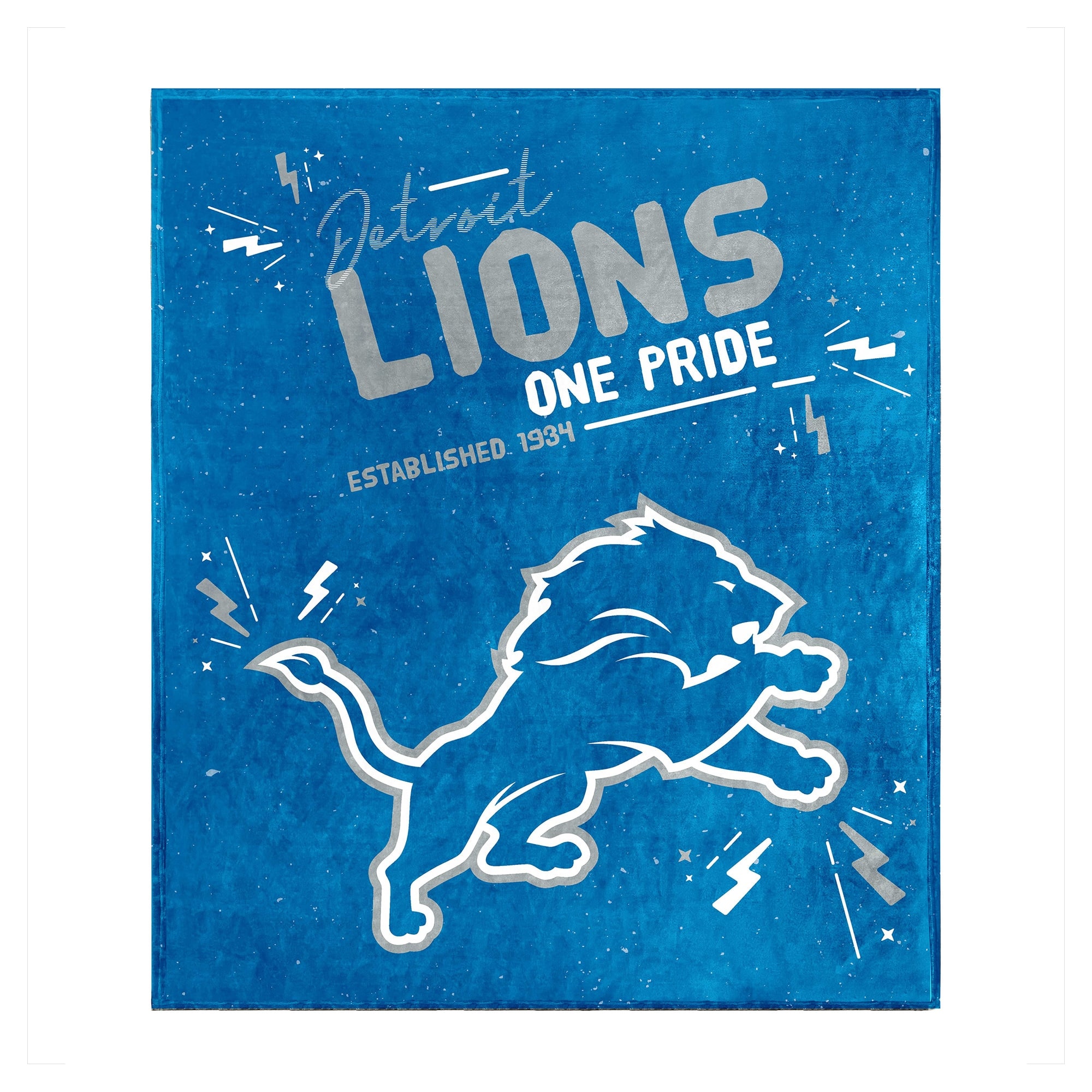 Detroit Lions  
One Pride  
Established 1934