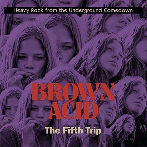 Various Artists - Brown Acid - The Fifth Trip (Various Artists)   - COMPACT DISCS [CD] price history on PriceWatchPro