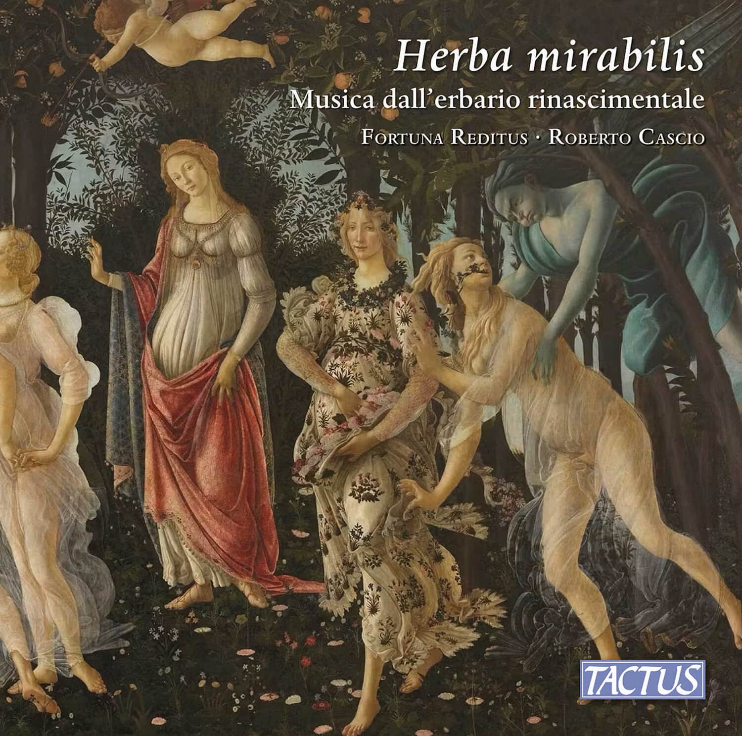 Capirola / Cara / Fortuna Reditus - Herba mirabilis   - COMPACT DISCS [CD] price history on PriceWatchPro