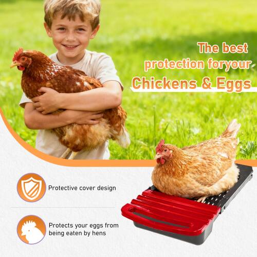 The best protection for your Chickens & Eggs  
Protective cover design  
Protects your eggs from being eaten by hens