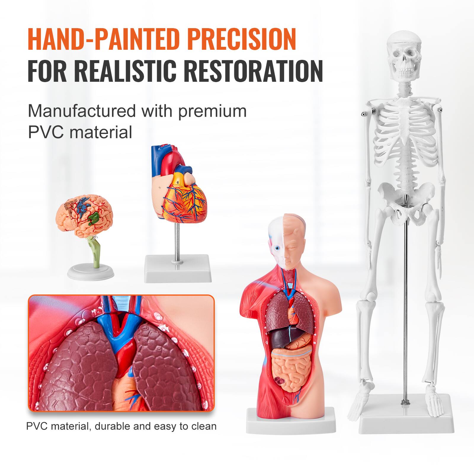 HAND-PAINTED PRECISION FOR REALISTIC RESTORATION

Manufactured with premium PVC material

PVC material, durable and easy to clean