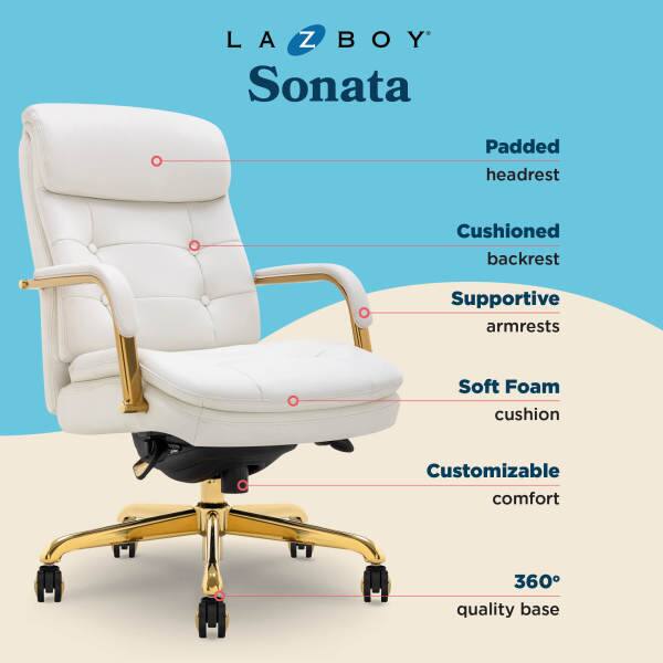 LAZBOY Sonata  
Padded headrest  
Cushioned backrest  
Supportive armrests  
Soft Foam cushion  
Customizable comfort  
360° quality base