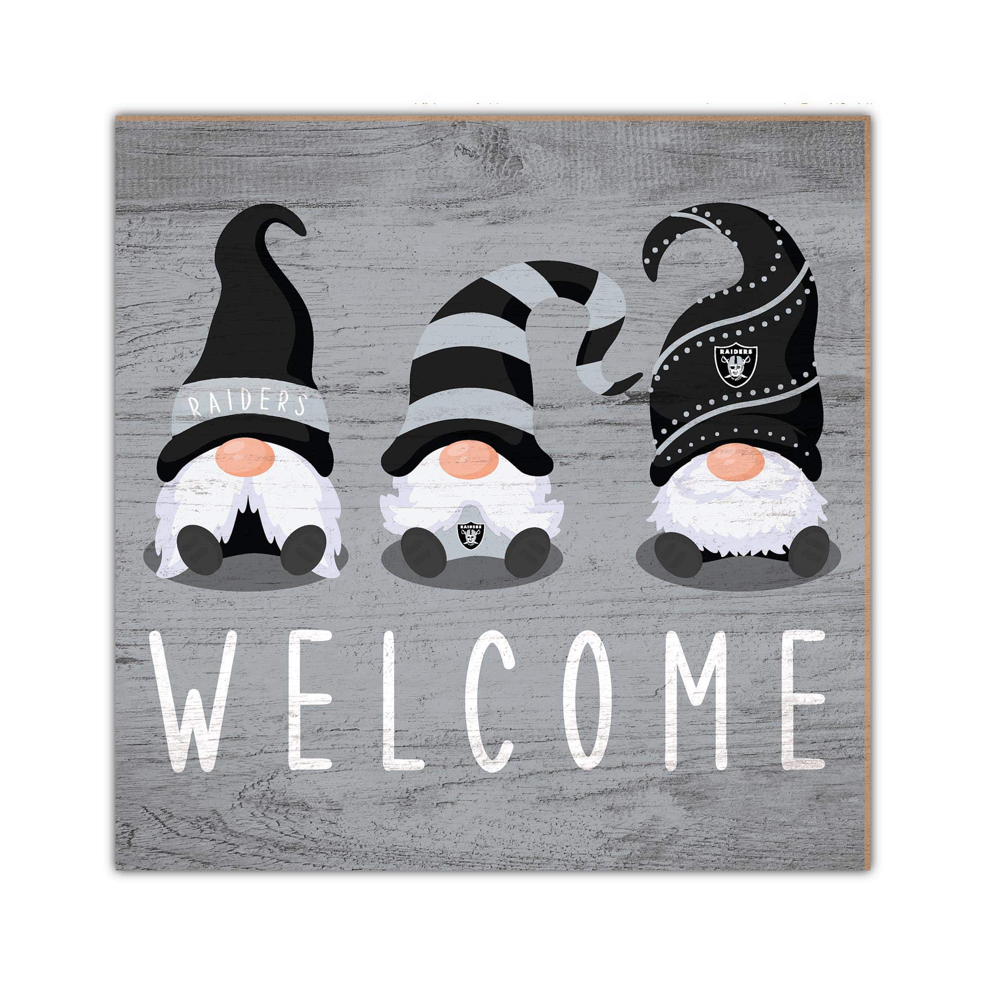 RAIDERS  
WELCOME