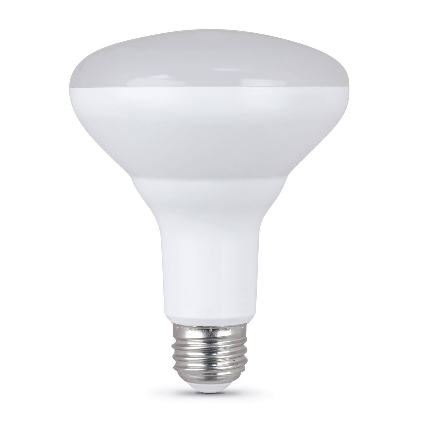 Left. FEIT ELECTRIC - Feit BR30 E26 (Medium) LED Bulb Daylight 65 Watt Equivalence 2 pk.