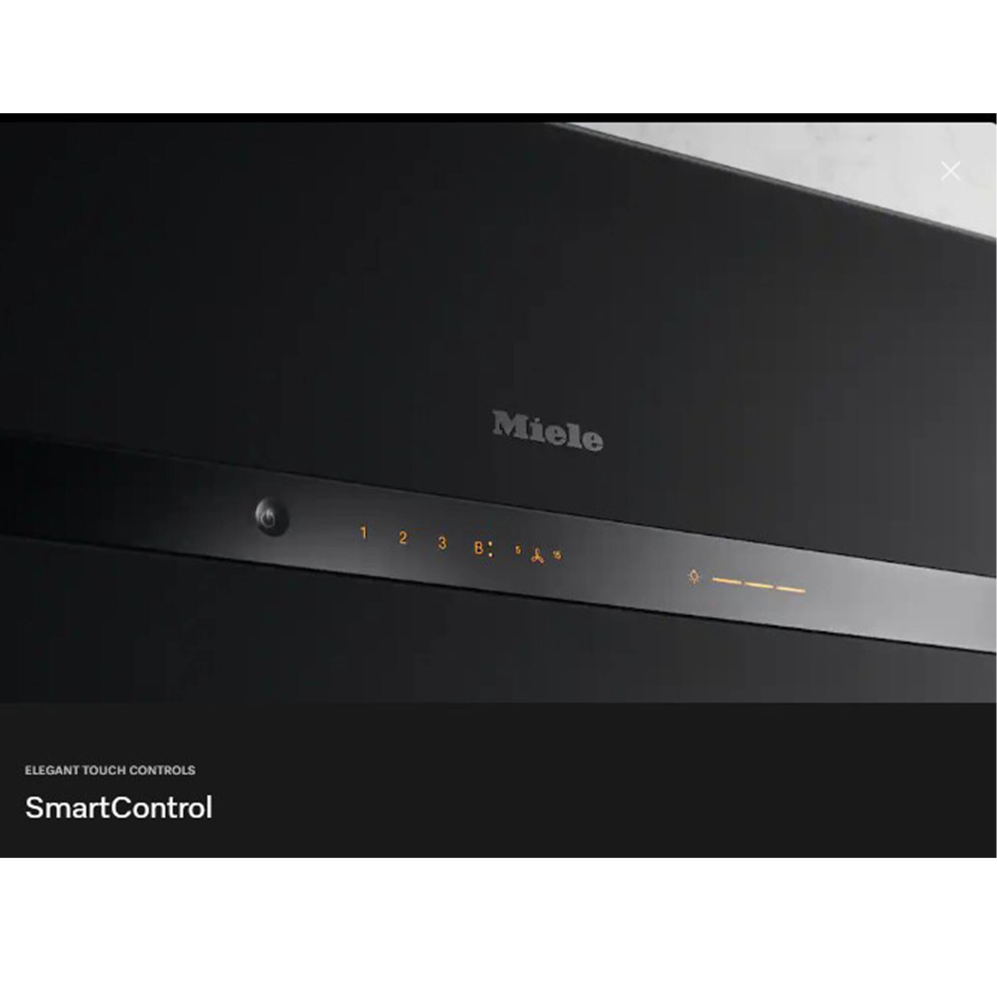 Miele

Elegant Touch Controls

SmartControl