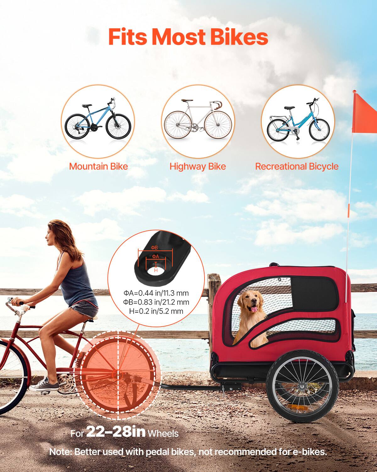 Fits Most Bikes  
Mountain Bike  
Highway Bike  
Recreational Bicycle  

ΦA = 0.44 in / 11.3 mm  
ΦB = 0.83 in / 21.2 mm  
H = 0.2 in / 5.2 mm  

For 22-28in Wheels  

Note: Better used with pedal bikes, not recommended for e-bikes.