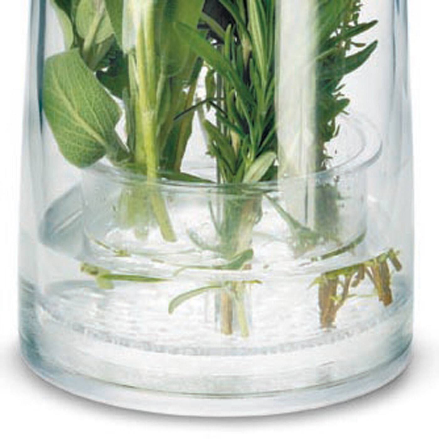 Alt View 3. Cuisipro - Original Herb Keeper Keeps Herbs Fresh Storage Container - Green.