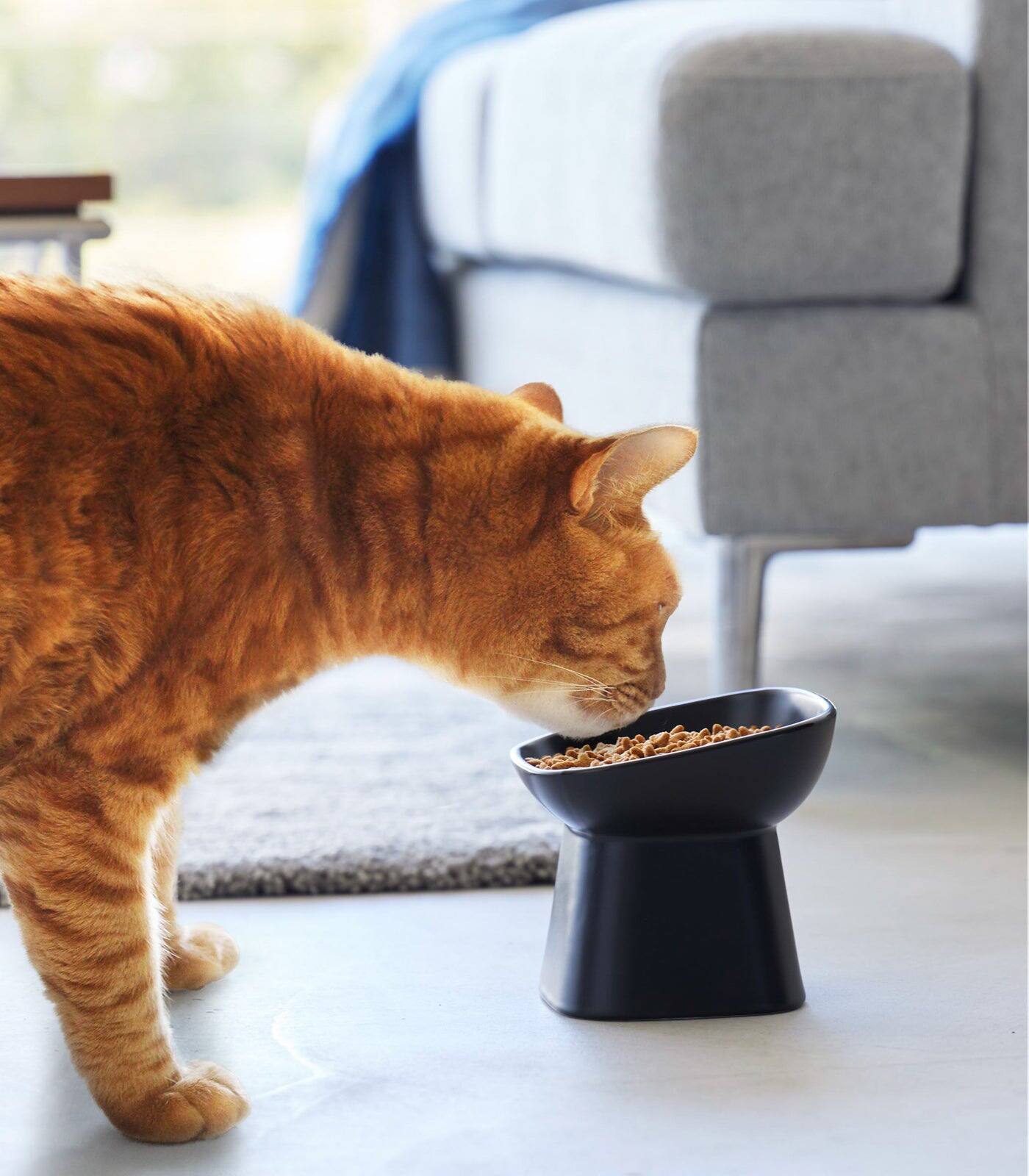 Alt View 5. Yamazaki Home - Tilted Pet Food Bowl - Black.