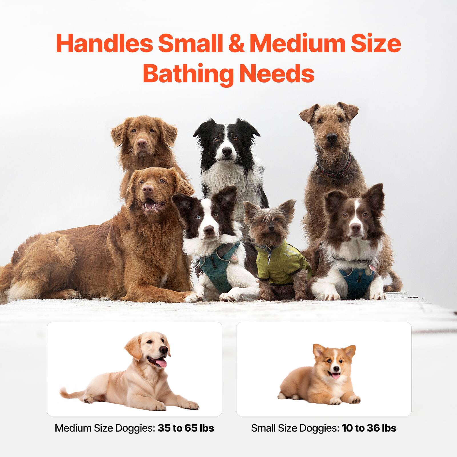 Handles Small & Medium Size Bathing Needs

Medium Size Doggies: 35 to 65 lbs

Small Size Doggies: 10 to 36 lbs