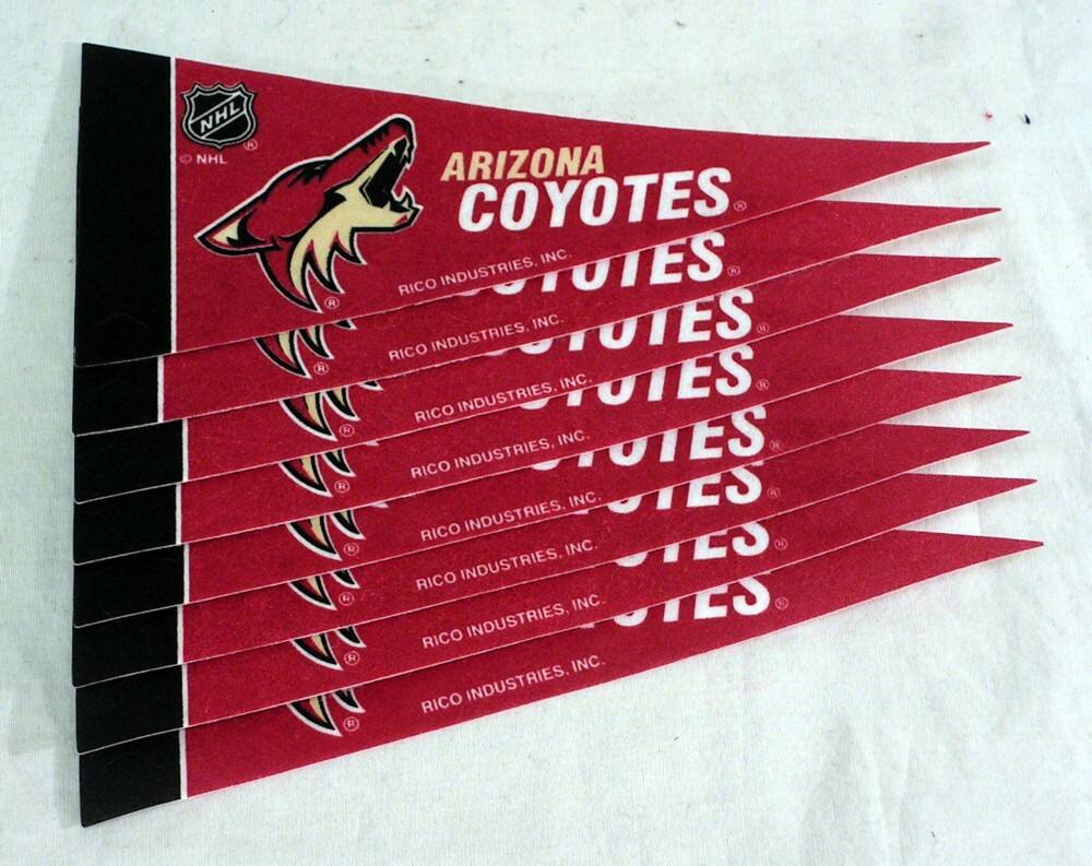 NHL  
ARIZONA COYOTES INC  
RICO INDUSTRIES, INC